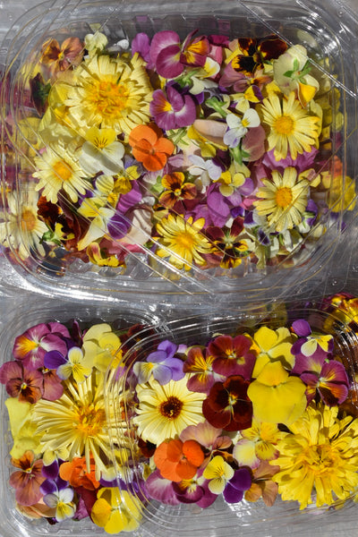 Edible Flowers Seasonal Blend