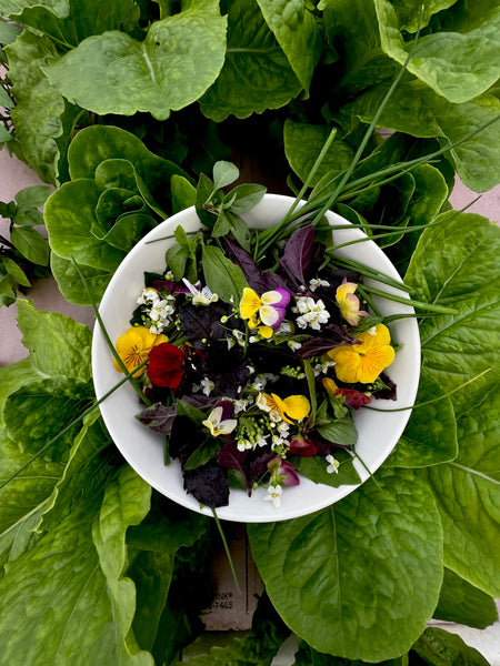 Edible Flowers Seasonal Blend