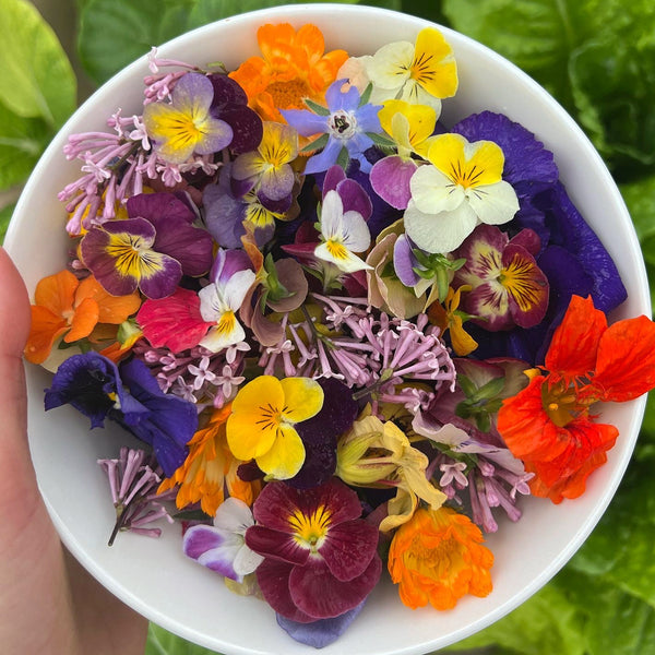 Edible Flowers Seasonal Blend