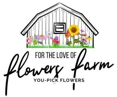 Paper Cosmos Workshop at For the Love of Flowers Farm