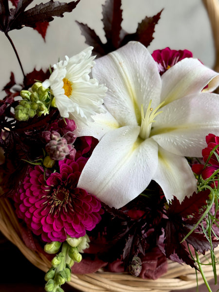 2026 - 6 WEEK FLOWER SUBSCRIPTION  - Racine