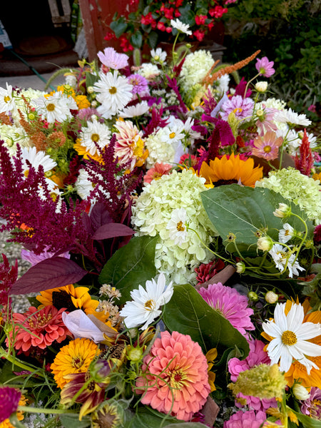 2026 - 6 WEEK FLOWER SUBSCRIPTION  - Local to Waterford Area