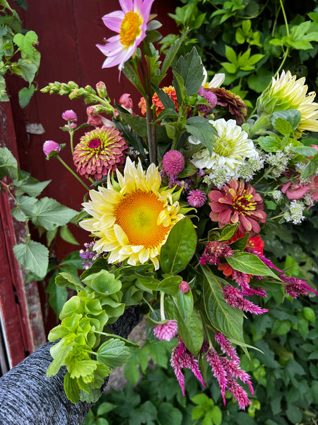 2025 - 6 WEEK FLOWER SUBSCRIPTION  - Racine