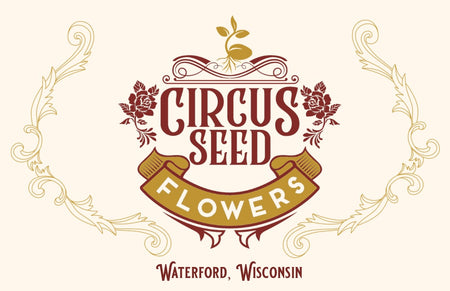 Circus Seed Flowers