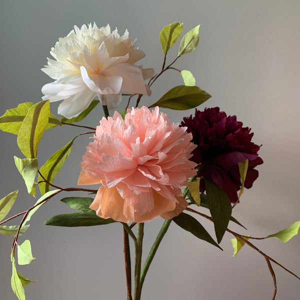 CUSTOM ORDER BOTANICAL PAPER ART
